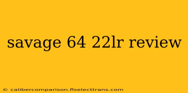 savage 64 22lr review