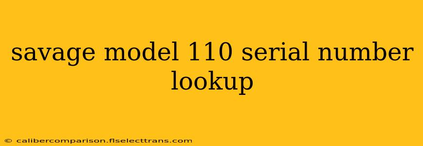 savage model 110 serial number lookup