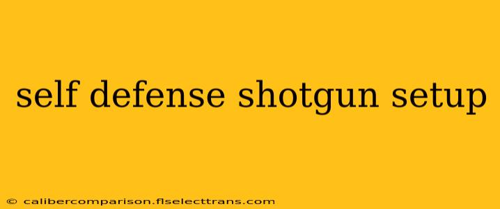 self defense shotgun setup