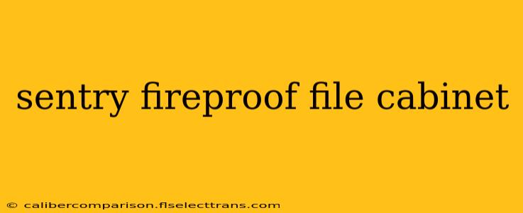 sentry fireproof file cabinet