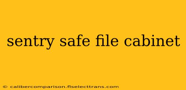 sentry safe file cabinet