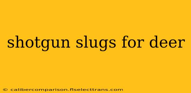 shotgun slugs for deer