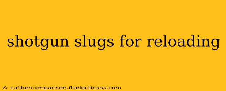 shotgun slugs for reloading