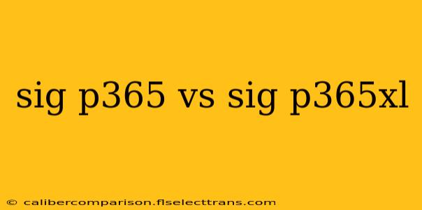 sig p365 vs sig p365xl