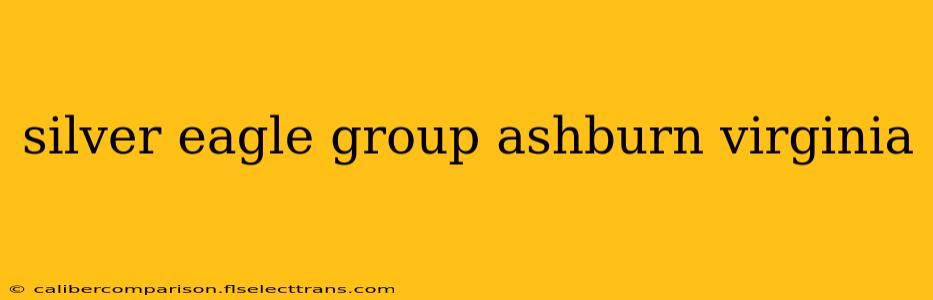 silver eagle group ashburn virginia