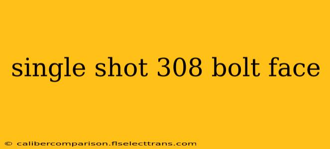 single shot 308 bolt face