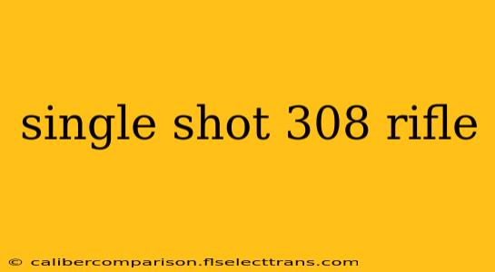 single shot 308 rifle