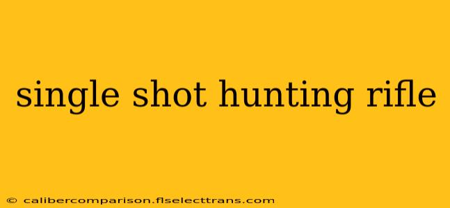 single shot hunting rifle