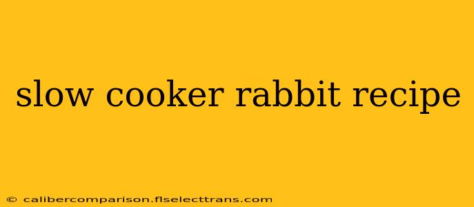 slow cooker rabbit recipe