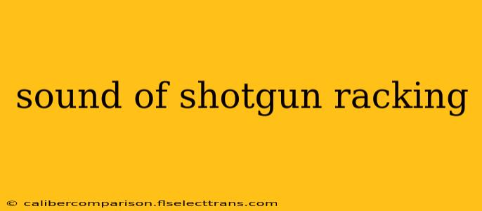 sound of shotgun racking