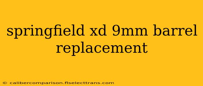 springfield xd 9mm barrel replacement