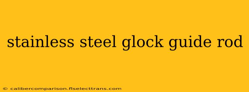 stainless steel glock guide rod