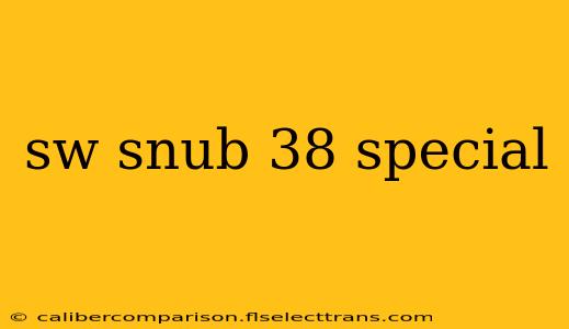 sw snub 38 special