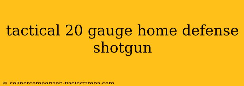 tactical 20 gauge home defense shotgun