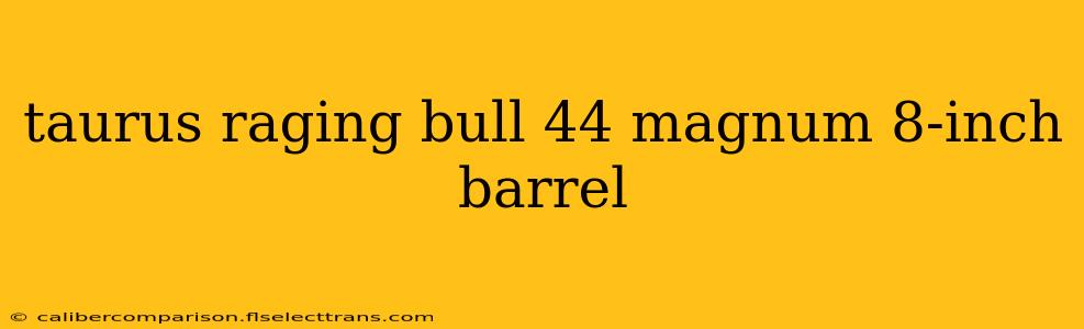 taurus raging bull 44 magnum 8-inch barrel