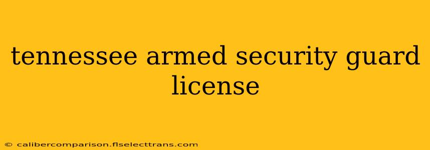 tennessee armed security guard license