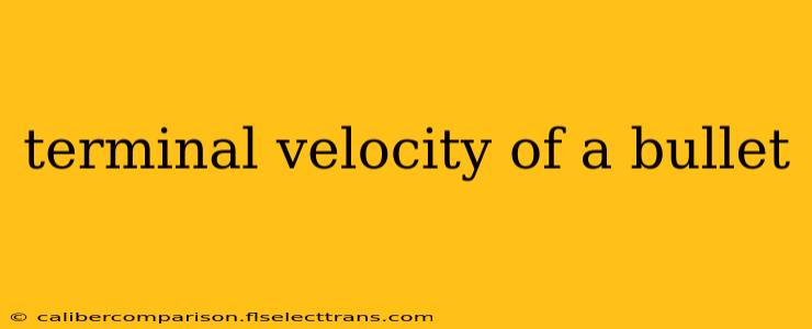 terminal velocity of a bullet