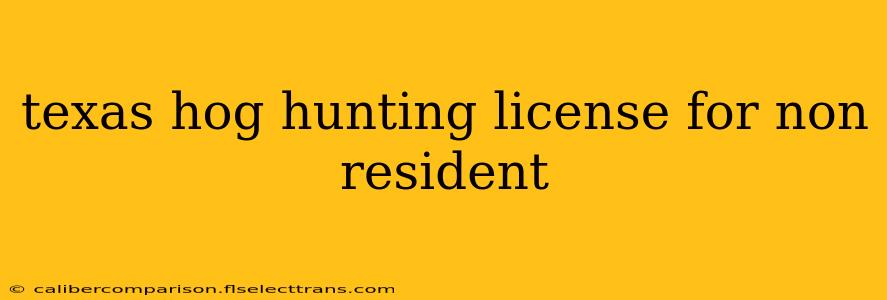 texas hog hunting license for non resident