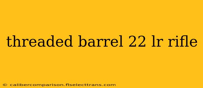 threaded barrel 22 lr rifle