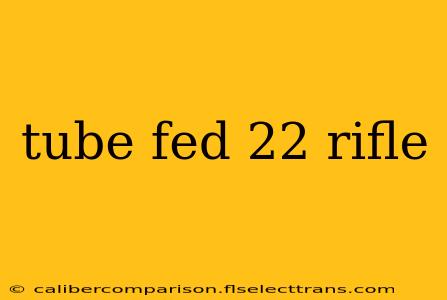 tube fed 22 rifle