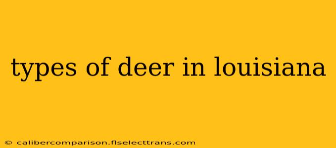 types of deer in louisiana