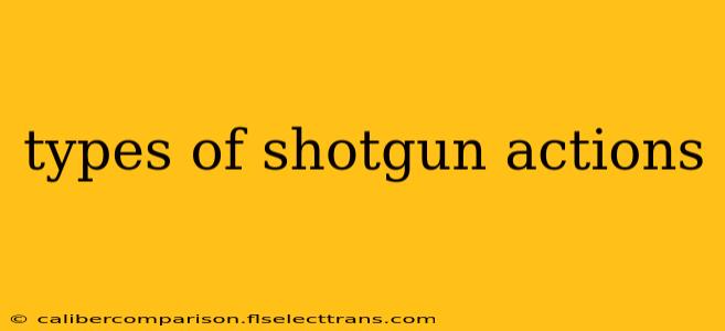 types of shotgun actions