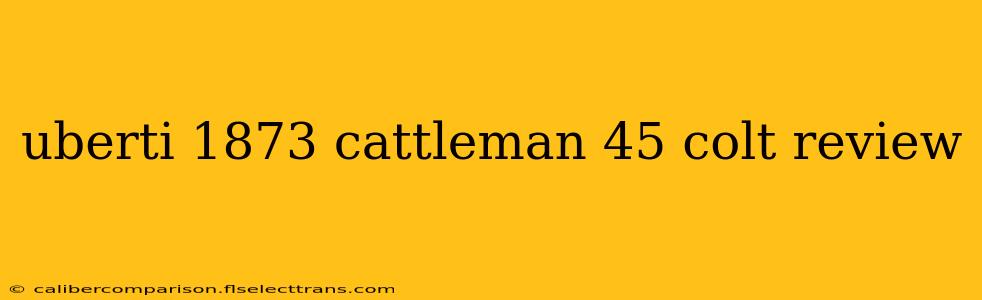 uberti 1873 cattleman 45 colt review