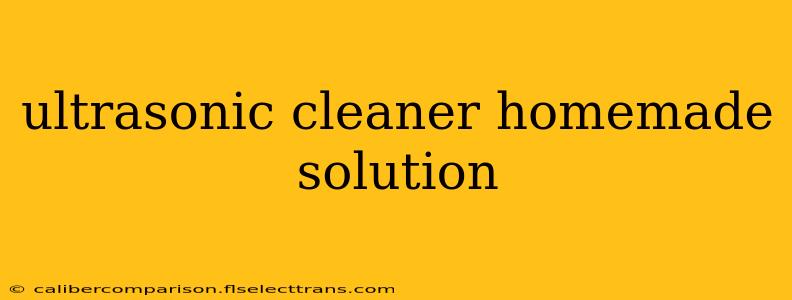 ultrasonic cleaner homemade solution