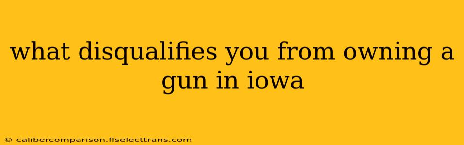 what disqualifies you from owning a gun in iowa