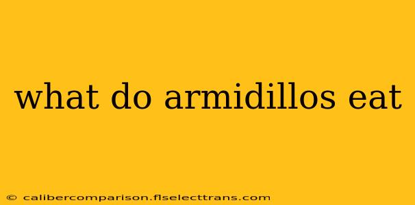 what do armidillos eat