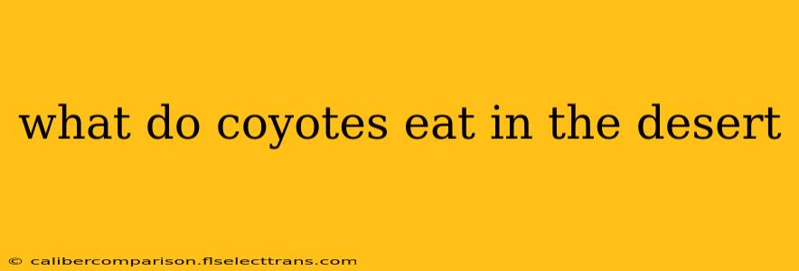 what do coyotes eat in the desert