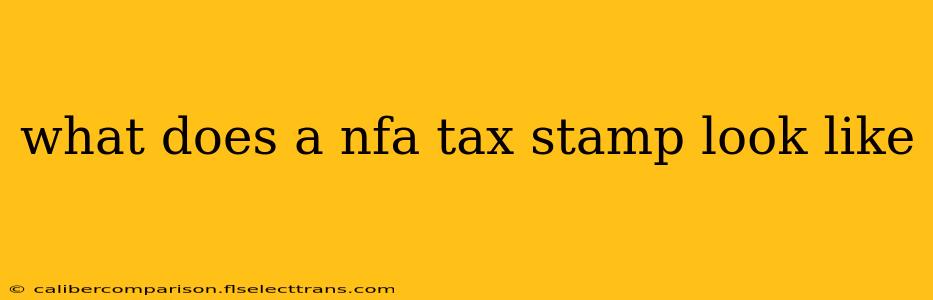 what does a nfa tax stamp look like