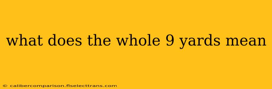 what does the whole 9 yards mean