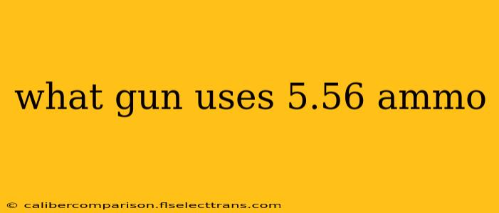 what gun uses 5.56 ammo