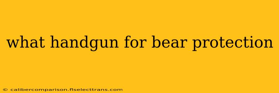 what handgun for bear protection