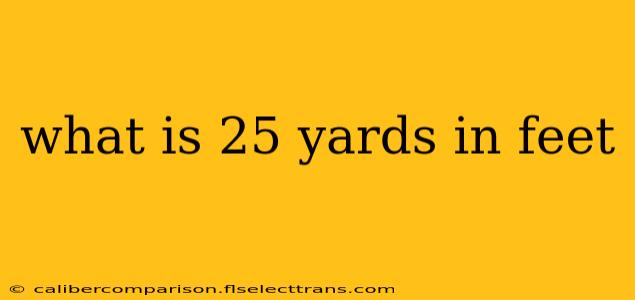 what is 25 yards in feet