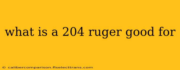 what is a 204 ruger good for