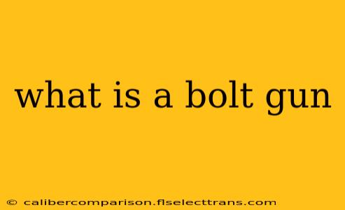 what is a bolt gun