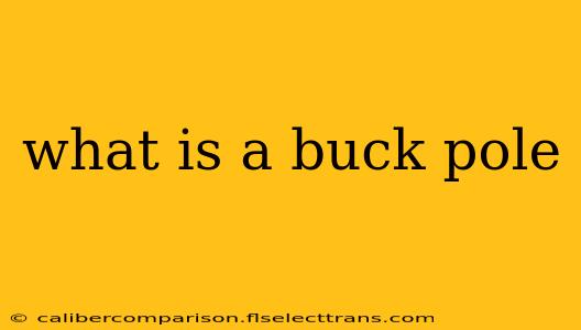 what is a buck pole