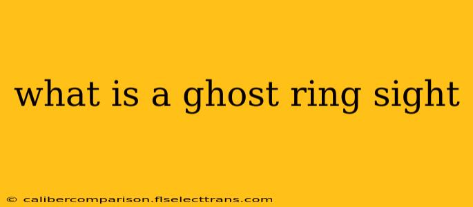 what is a ghost ring sight