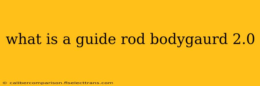 what is a guide rod bodygaurd 2.0