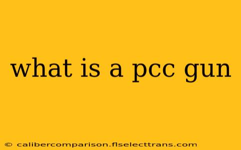 what is a pcc gun