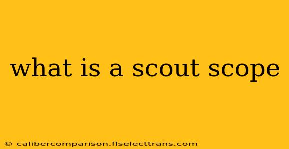 what is a scout scope