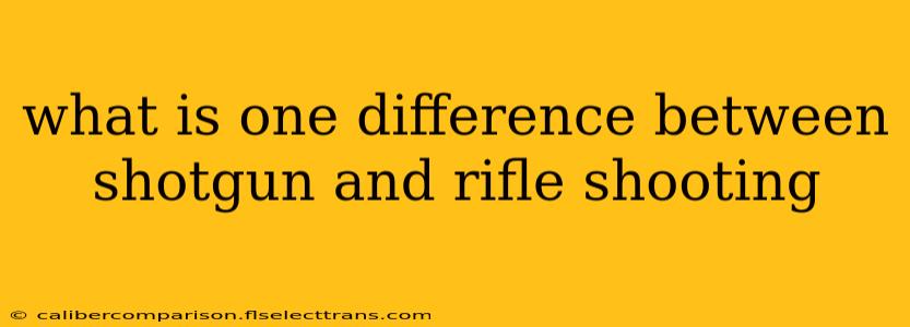 what is one difference between shotgun and rifle shooting