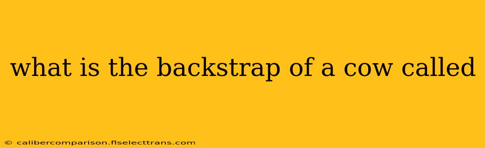 what is the backstrap of a cow called