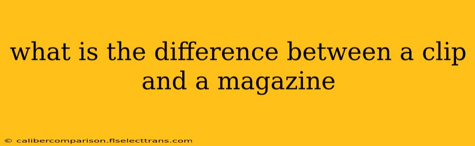 what is the difference between a clip and a magazine