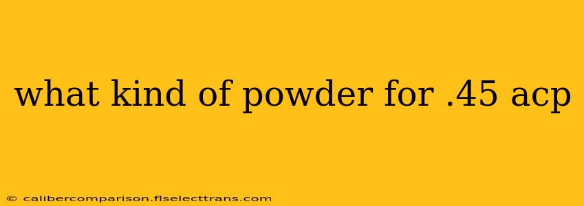 what kind of powder for .45 acp