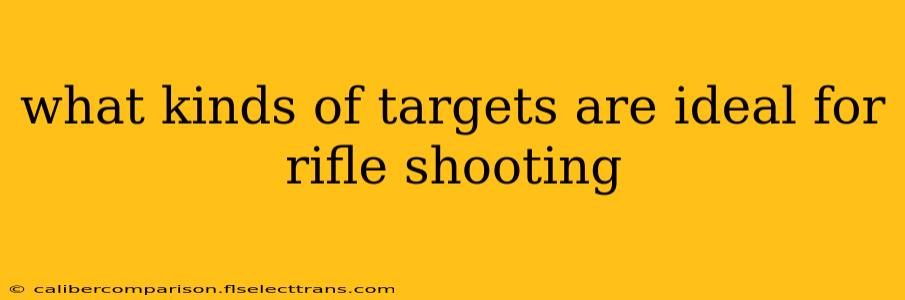 what kinds of targets are ideal for rifle shooting