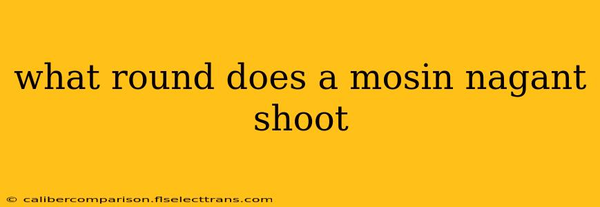 what round does a mosin nagant shoot