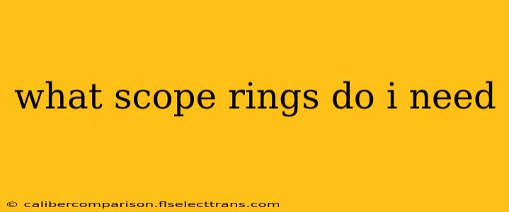 what scope rings do i need